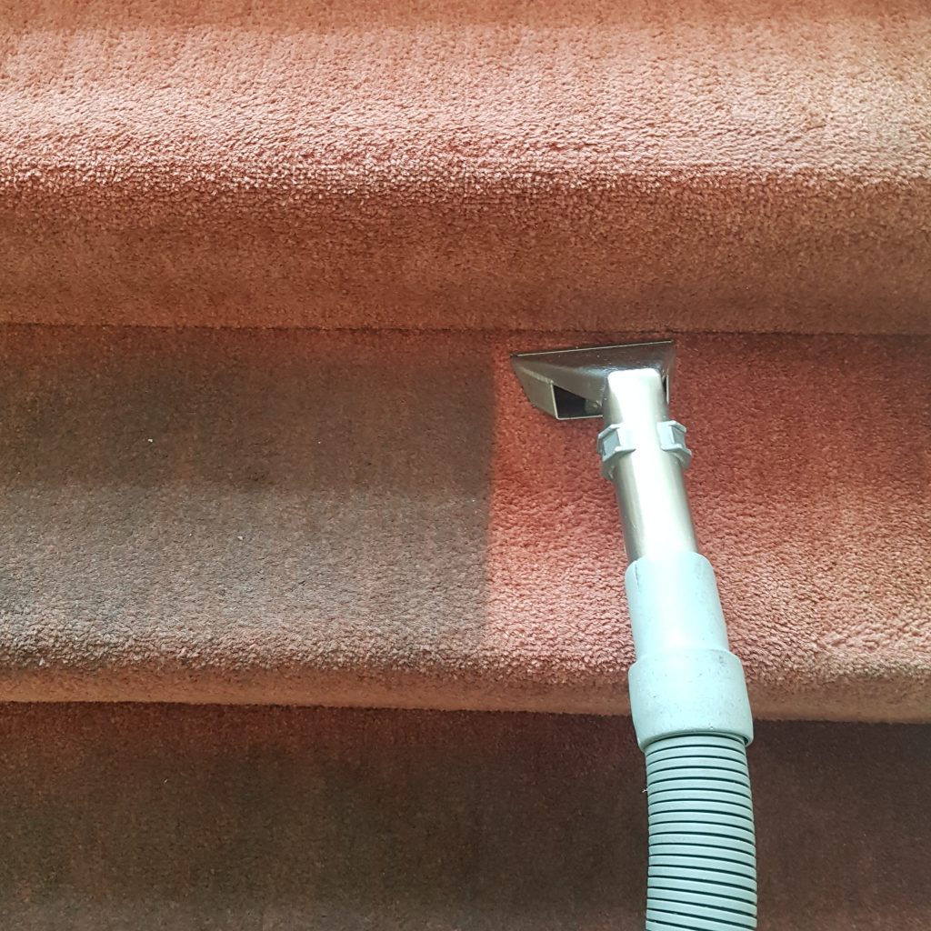 carpet-cleaning
