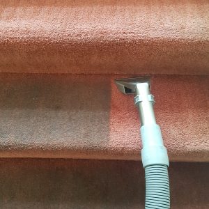 carpet-cleaning