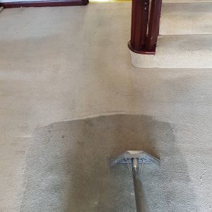 carpet-cleaning
