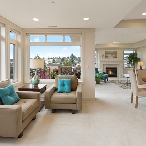 carpet cleaning