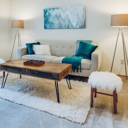 carpet cleaning